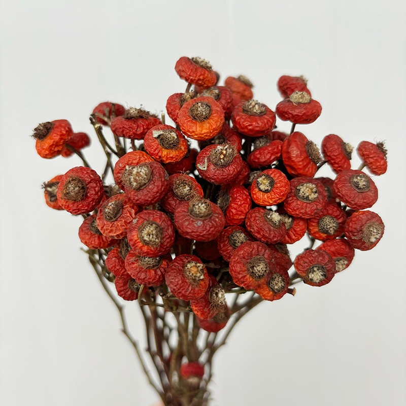 Dried Flower Bunch - 10 Piezas/Ramo de Flores Secas de