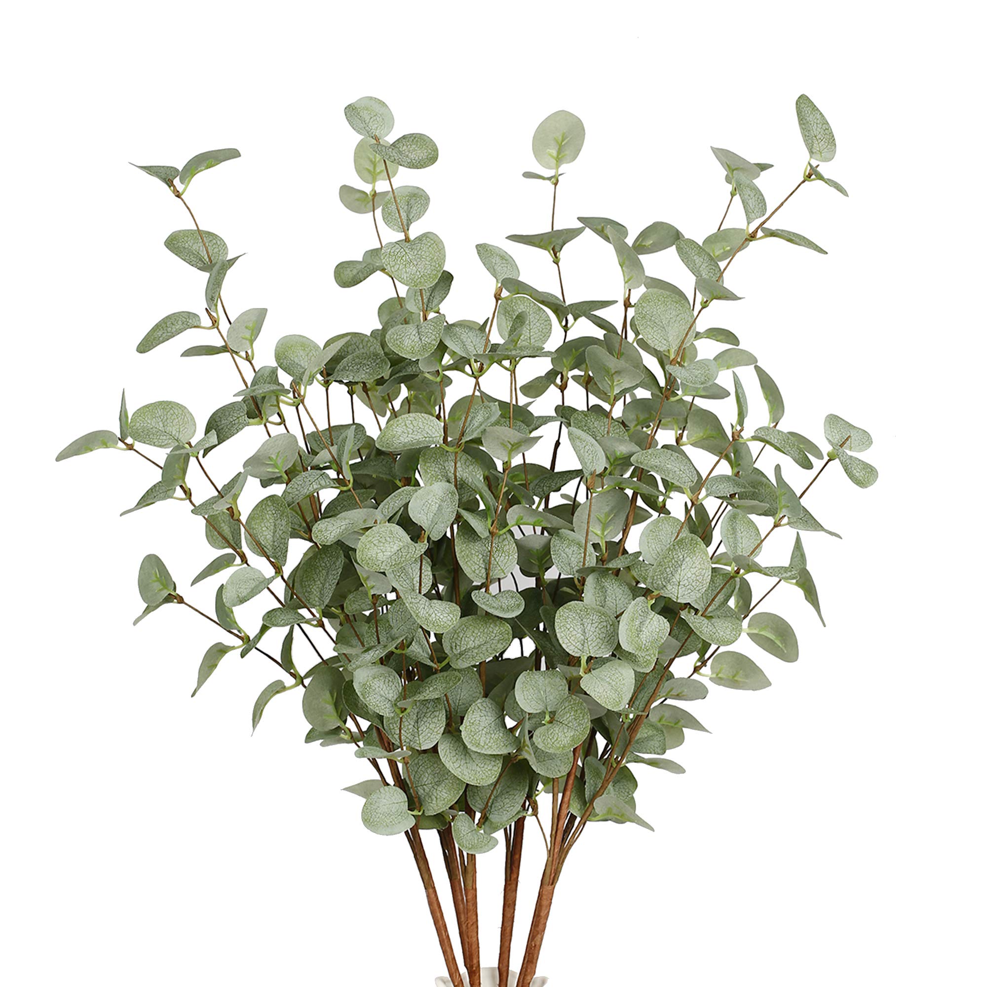 Eucalyptus Preserved - Tallos de eucalipto de imitación, plantas