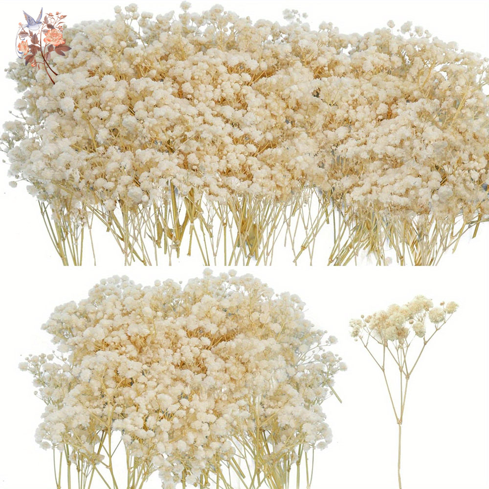 Dried Flower Bunch - Mini flor de Gypsophila seca, vela