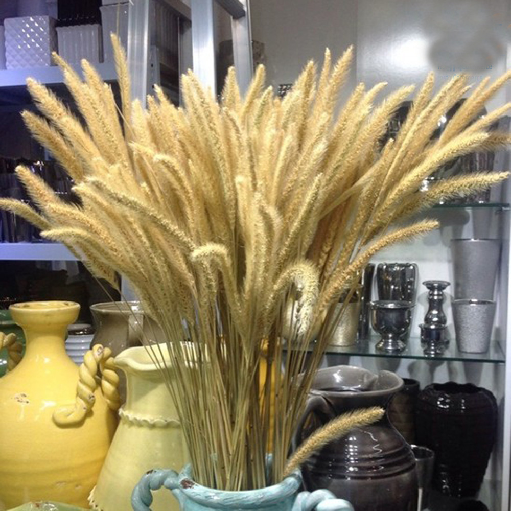 Dried Flower Bunch - 200 Uds. Ramos de lagurus ovatus