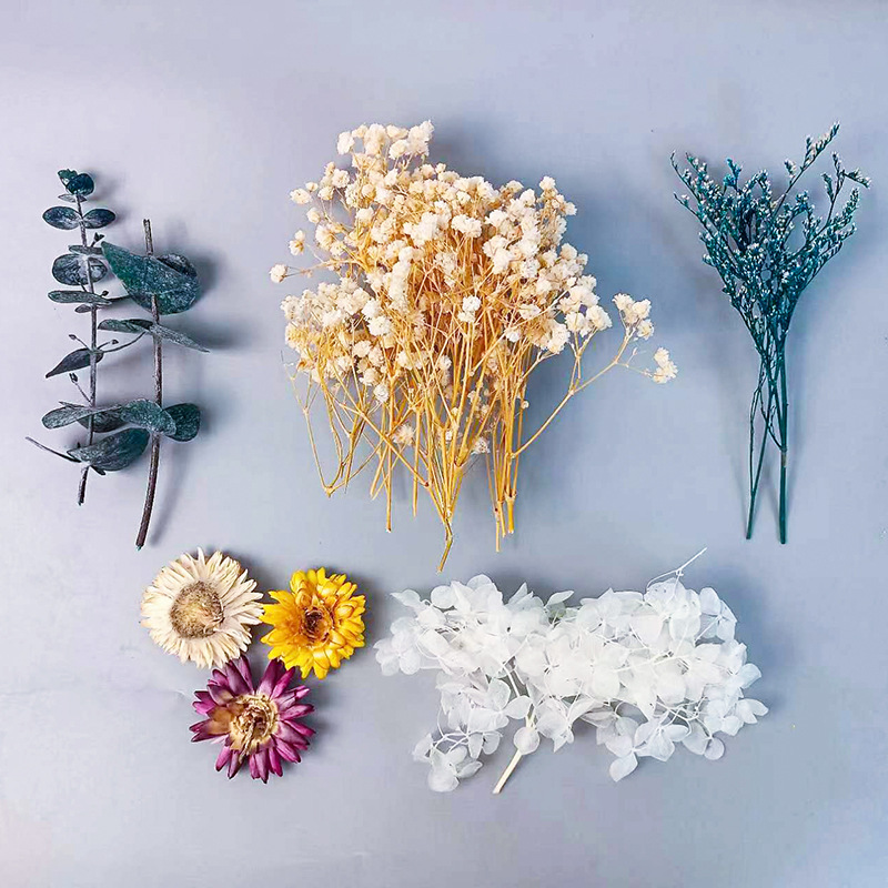 Dried Flower Bunch - Juego de flores secas múltiples para