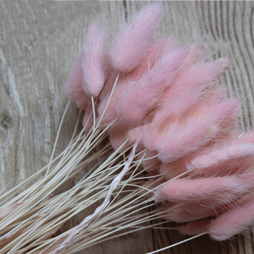 50 Uds. Ramos de flores natura - Dried Flower Bunch reseña y precio