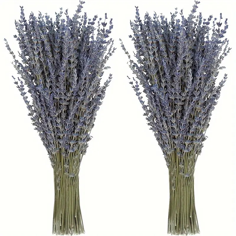 200 Piezas/Ramo de Flores Seca - Dried Flower Bunch reseña y precio