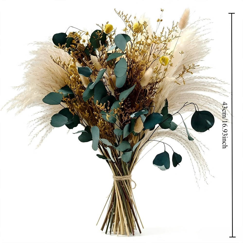 Ramo de Hierba de Pampas Seca  - Eucalyptus Preserved reseña y precio
