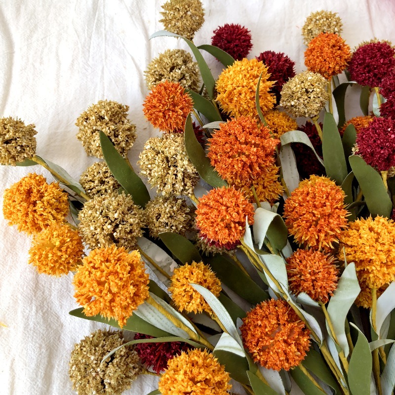 Cabeza de Flor Seca de Margari - Dried Flower Bunch reseña y precio