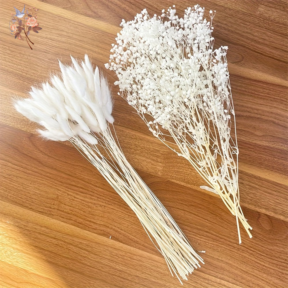 Ramo de boda nupcial de flores - Dried Flower Bunch reseña y precio