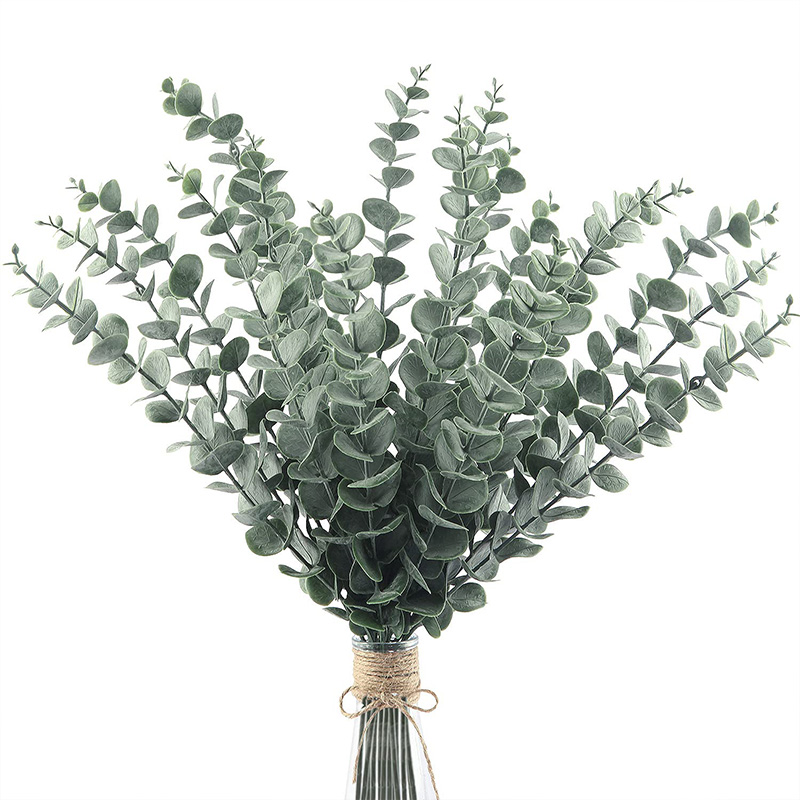 20 piezas tallos de eucalipto  - Eucalyptus Preserved reseña y precio