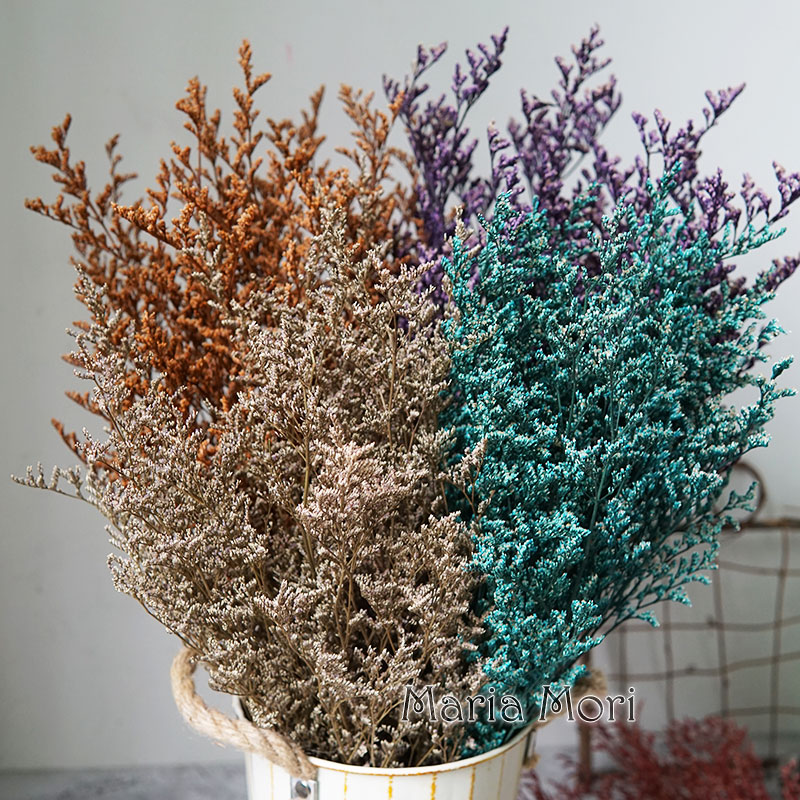 70g/Flor de Limonium Preservad - Eucalyptus Preserved reseña y precio