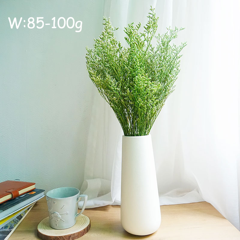 70g/Flor de Limonium Preservad - Eucalyptus Preserved reseña y precio
