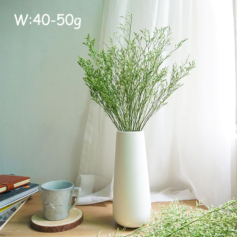 70g/Flor de Limonium Preservad - Eucalyptus Preserved reseña y precio
