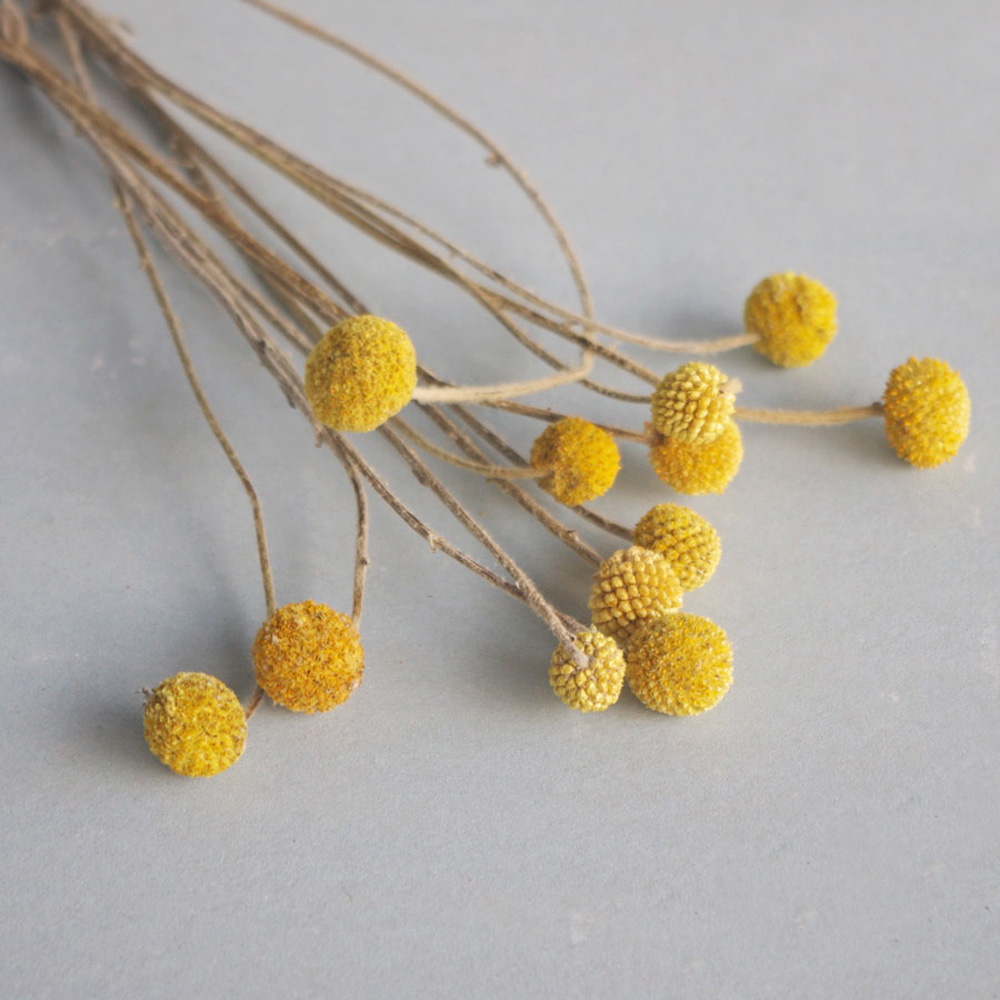 20 piezas ramos de flores de C - Dried Flower Bunch reseña y precio