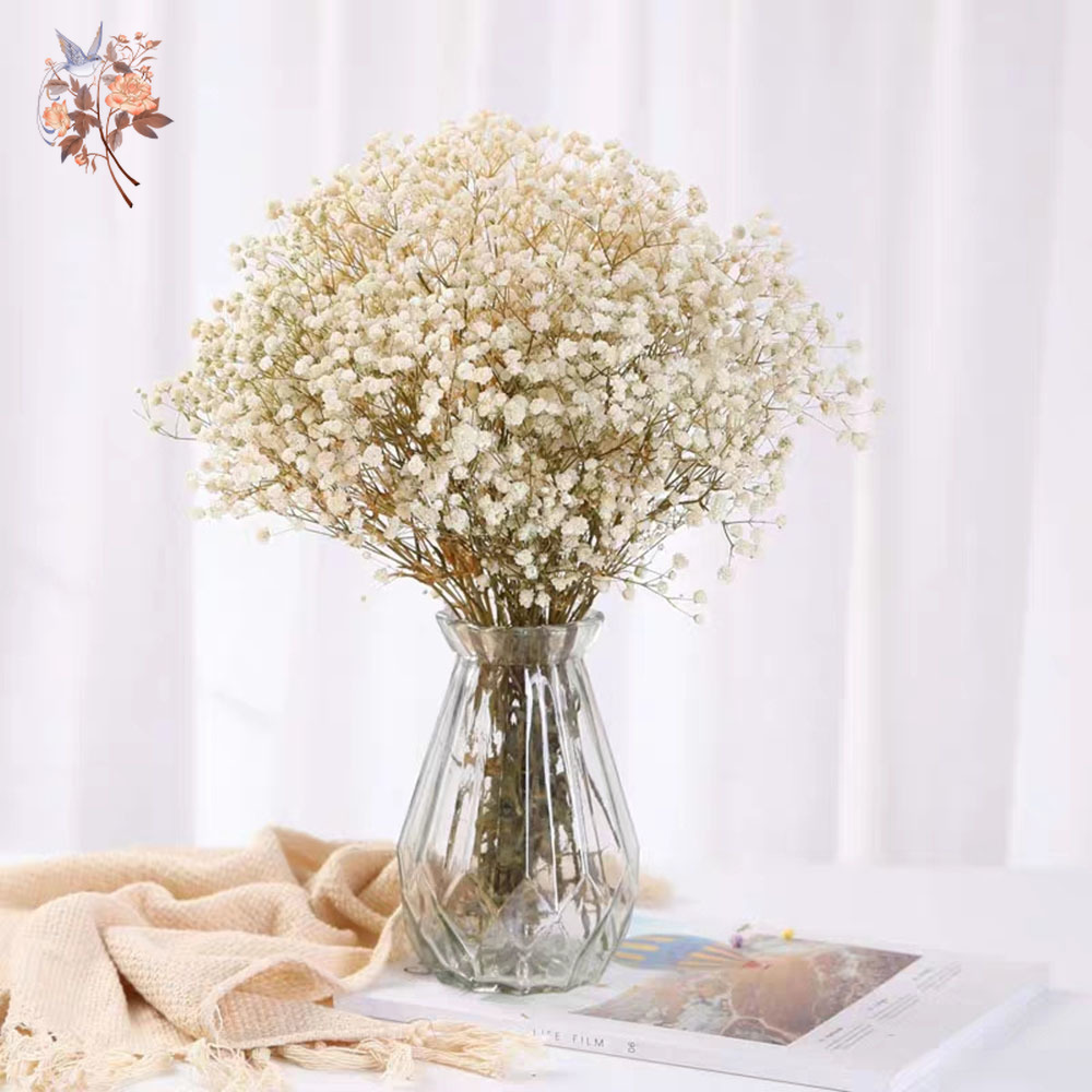 Ramo de flores secas para el a - Dried Flower Bunch reseña y precio