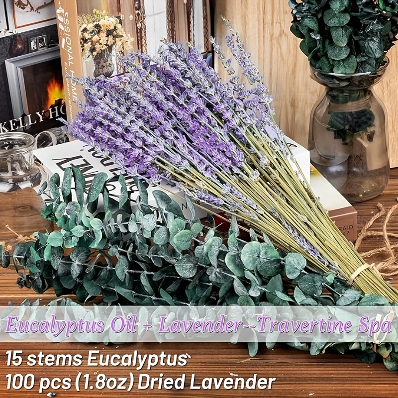 Ramo Seco de Lavanda y Eucalip - Eucalyptus Preserved reseña y precio