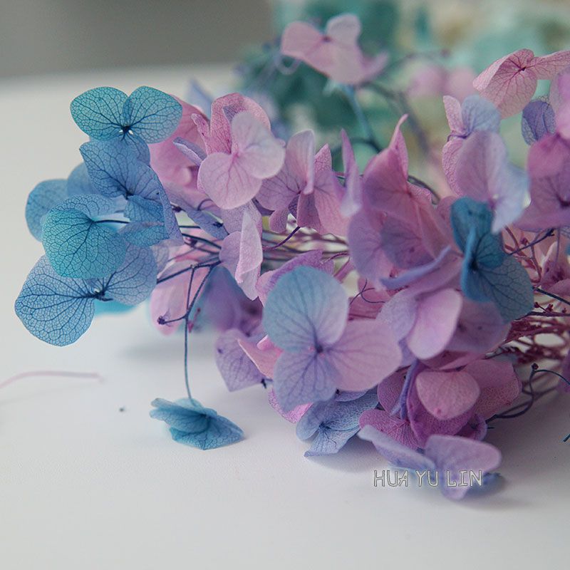 Flores Secas de Hortensia con  - Dried Flower Bunch reseña y precio
