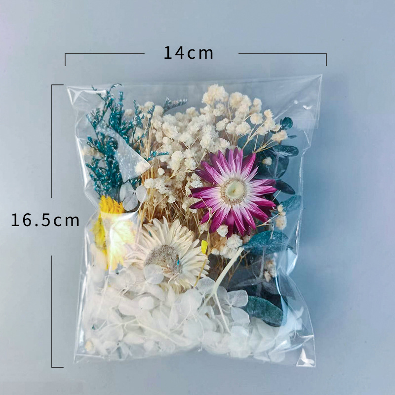 Juego de flores secas múltiple - Dried Flower Bunch reseña y precio