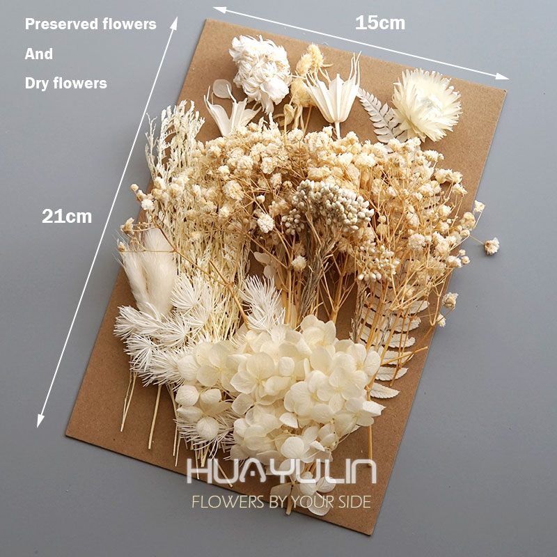 1 paquete de plantas artificia - Dried Flower Bunch reseña y precio